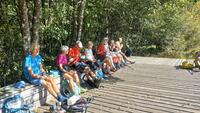 Pause pic nic Pause pic nic