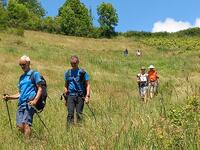 HORS SENTIER HORS SENTIER